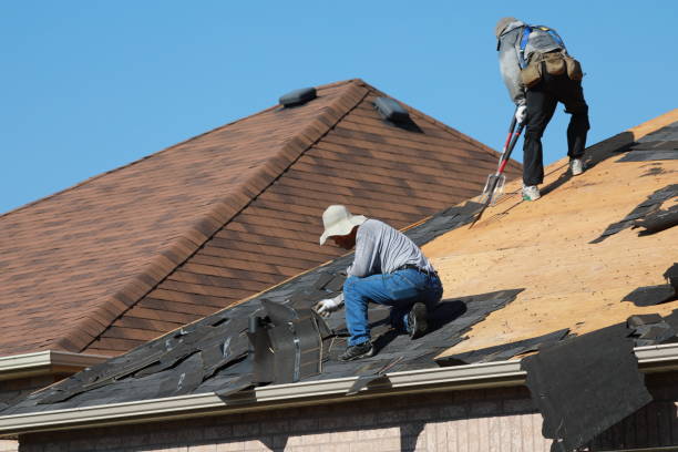 Best Asphalt Shingles Roofing  in West Concord, MA